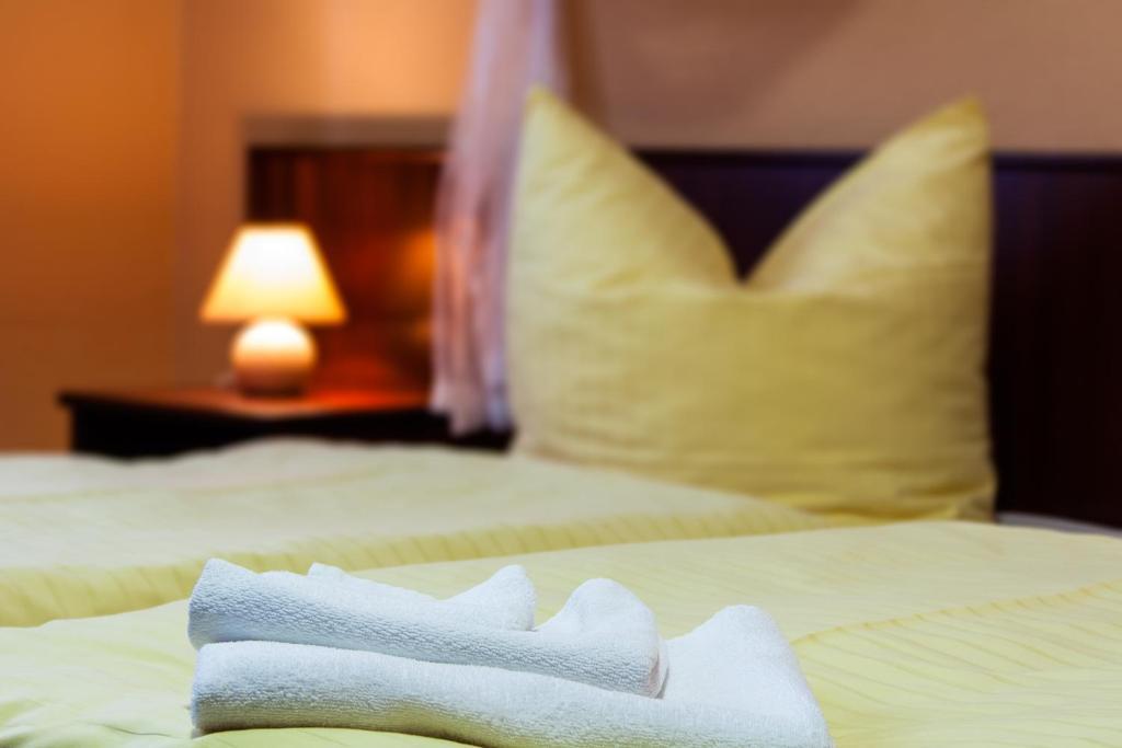 Landhotel Alt-Jocketa Pohl  ห้อง รูปภาพ